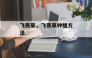 飞燕草，飞燕草种植方法