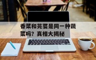 香菜和芫荽是同一种蔬菜吗？真相大揭秘