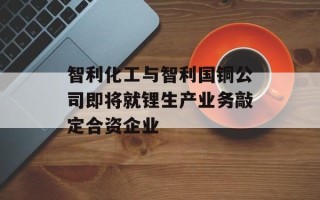 智利化工与智利国铜公司即将就锂生产业务敲定合资企业