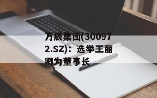 万辰集团(300972.SZ)：选举王丽卿为董事长