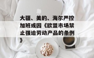 大疆、美的、海尔严控加班或因《欧盟市场禁止强迫劳动产品的条例》
