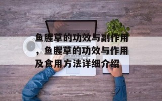鱼腥草的功效与副作用，鱼腥草的功效与作用及食用方法详细介绍
