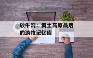放牛沟：黄土高原最后的游牧记忆库