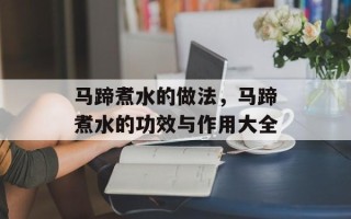 马蹄煮水的做法，马蹄煮水的功效与作用大全
