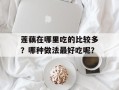 莲藕在哪里吃的比较多？哪种做法最好吃呢？