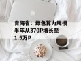 青海省：绿色算力规模半年从370P增长至1.5万P