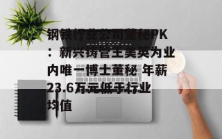 钢铁行业公司董秘PK：新兴铸管王美英为业内唯一博士董秘 年薪23.6万元低于行业均值