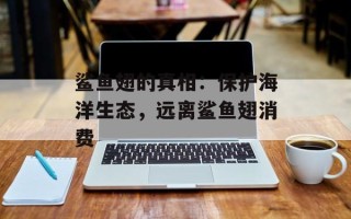 鲨鱼翅的真相：保护海洋生态，远离鲨鱼翅消费