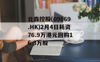 北森控股(09669.HK)2月4日耗资76.9万港元回购16.3万股