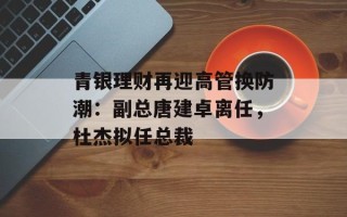 青银理财再迎高管换防潮：副总唐建卓离任，杜杰拟任总裁