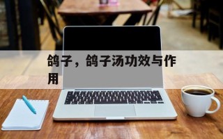 鸽子，鸽子汤功效与作用