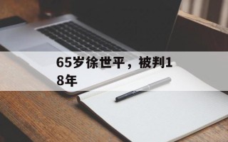 65岁徐世平，被判18年