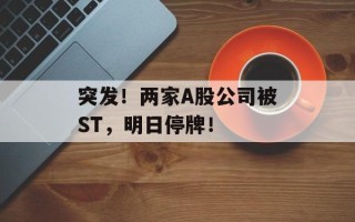 突发！两家A股公司被ST，明日停牌！