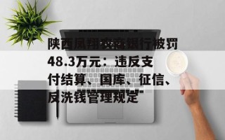 陕西凤翔农商银行被罚48.3万元：违反支付结算、国库、征信、反洗钱管理规定