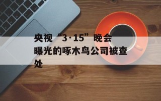 央视“3·15”晚会曝光的啄木鸟公司被查处