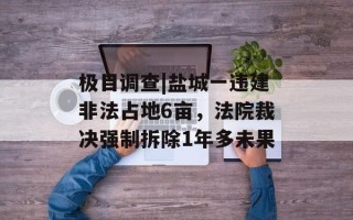 极目调查|盐城一违建非法占地6亩，法院裁决强制拆除1年多未果