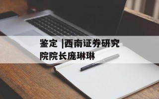 鉴定 |西南证券研究院院长庞琳琳