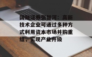 国融证券张智河：高新技术企业可通过多种方式利用资本市场并购重组，实现产业升级