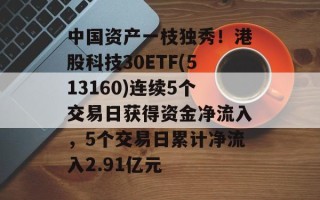 中国资产一枝独秀！港股科技30ETF(513160)连续5个交易日获得资金净流入，5个交易日累计净流入2.91亿元