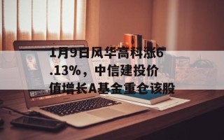 1月9日风华高科涨6.13%，中信建投价值增长A基金重仓该股