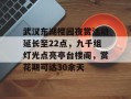 武汉东湖樱园夜赏活动延长至22点，九千组灯光点亮亭台楼阁，赏花期可达30余天