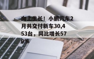 向上生长！小鹏汽车2月共交付新车30,453台，同比增长570%