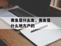 黄鱼是什么鱼，黄鱼是什么地方产的