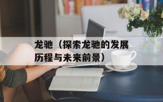龙驰（探索龙驰的发展历程与未来前景）