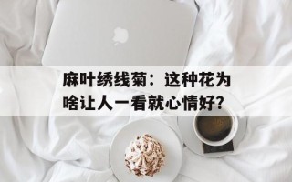 麻叶绣线菊：这种花为啥让人一看就心情好？