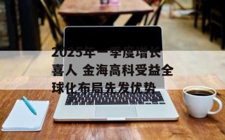 2025年一季度增长喜人 金海高科受益全球化布局先发优势