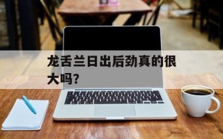 龙舌兰日出后劲真的很大吗？