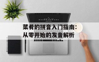 菜肴的拼音入门指南：从零开始的发音解析