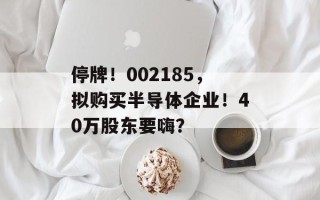 停牌！002185，拟购买半导体企业！40万股东要嗨？
