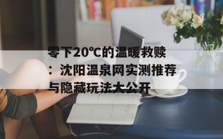 零下20℃的温暖救赎：沈阳温泉网实测推荐与隐藏玩法大公开
