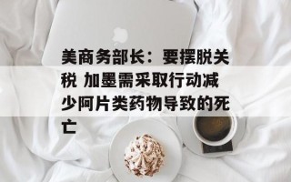 美商务部长：要摆脱关税 加墨需采取行动减少阿片类药物导致的死亡