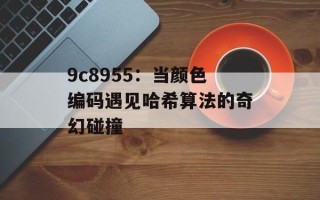 9c8955：当颜色编码遇见哈希算法的奇幻碰撞