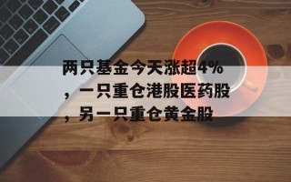 两只基金今天涨超4%，一只重仓港股医药股，另一只重仓黄金股
