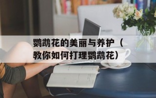 鹦鹉花的美丽与养护（教你如何打理鹦鹉花）