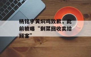 杨铭宇黄焖鸡致歉，此前被曝“剩菜回收卖给顾客”