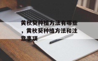 黄秋葵种植方法有哪些，黄秋葵种植方法和注意事项