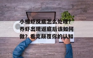 小棚虾反底怎么处理？养虾出现返底后该如何做？看完 *** 你的认知