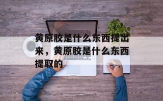 黄原胶是什么东西提出来，黄原胶是什么东西提取的