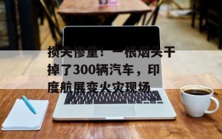 损失惨重！一根烟头干掉了300辆汽车，印度航展变火灾现场