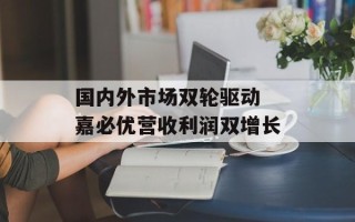 国内外市场双轮驱动 嘉必优营收利润双增长
