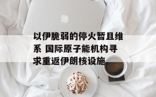 以伊脆弱的停火暂且维系 国际原子能机构寻求重返伊朗核设施