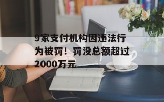 9家支付机构因违法行为被罚！罚没总额超过2000万元