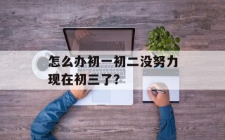 怎么办初一初二没努力现在初三了？