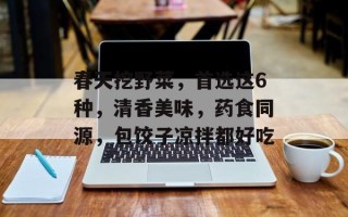 春天挖野菜，首选这6种，清香美味，药食同源，包饺子凉拌都好吃