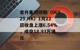 龙升集团控股（06829.HK）1月22日收盘上涨6.54%，成交18.93万港元