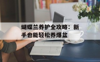 蝴蝶兰养护全攻略：新手也能轻松养爆盆